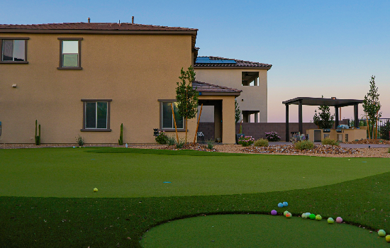 Safe for Kids & Pets